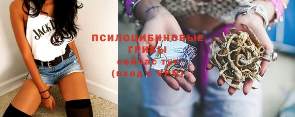 соль курить ск Алексеевка