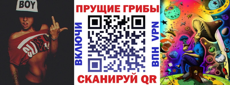 Галлюциногенные грибы Psilocybe  где найти   KRAKEN ССЫЛКА  Орлов 
